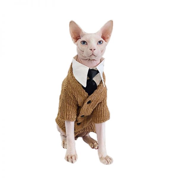 Suéteres para gatos | Gatos sin pelo con suéteres, suéter con gatitos