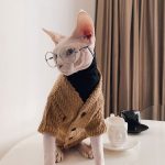 猫用セーター｜毛のない猫がセーターを着る、子猫と一緒にセーターを着る