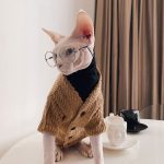 Sweaters for Cats | Hairless Cats Wearing Sweaters, Sweater with Kittens