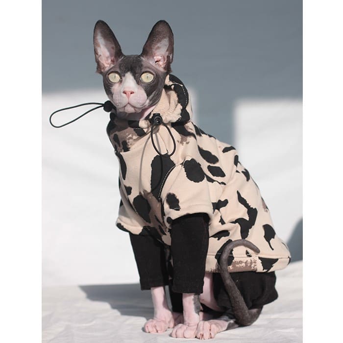Hairless Cat Hoodie | Hoodie for Cat, Cat in Hoodie, Hoodies for cats