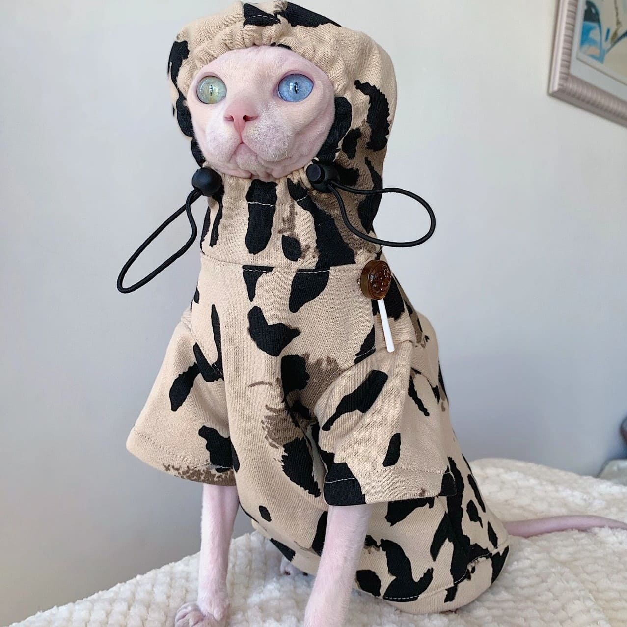 Hairless Cat Hoodie | Hoodie for Cat, Cat in Hoodie, Hoodies for cats