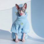 Kitty Hoodie for Cats | Cat Winter Coat for Cats, Cat in Clothes