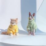 Kitty Hoodie for Cats | Cat Winter Coat for Cats, Cat in Clothes