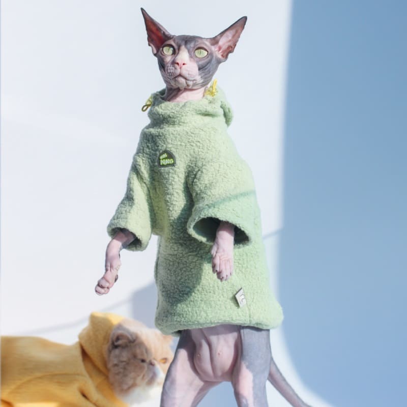 Sudadera con capucha para gatos | Abrigo de invierno para gatos, Gato con ropa
