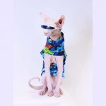 T Shirt for Cats-Blue shirt, glasses