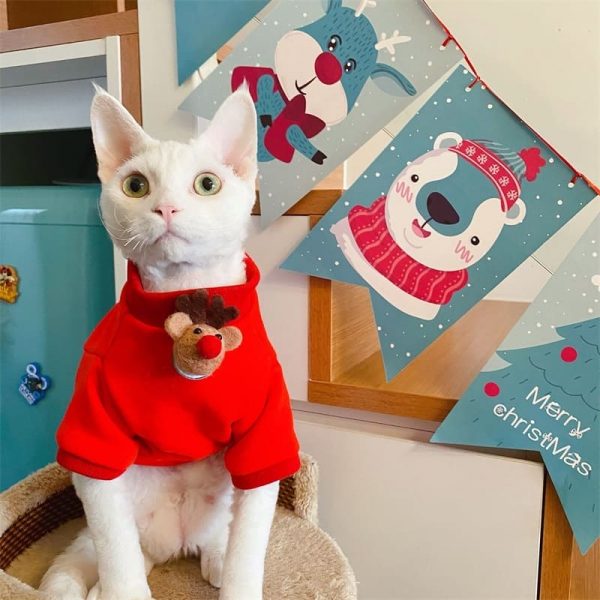 Costumi di Natale per gatti: il gatto indossa una felpa con cappuccio da alce