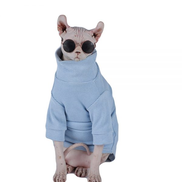 T Shirt for Cat-Sphynx wears blue shirt