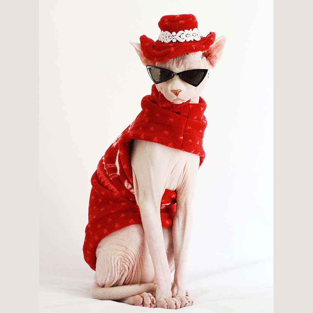 cat christmas clothes