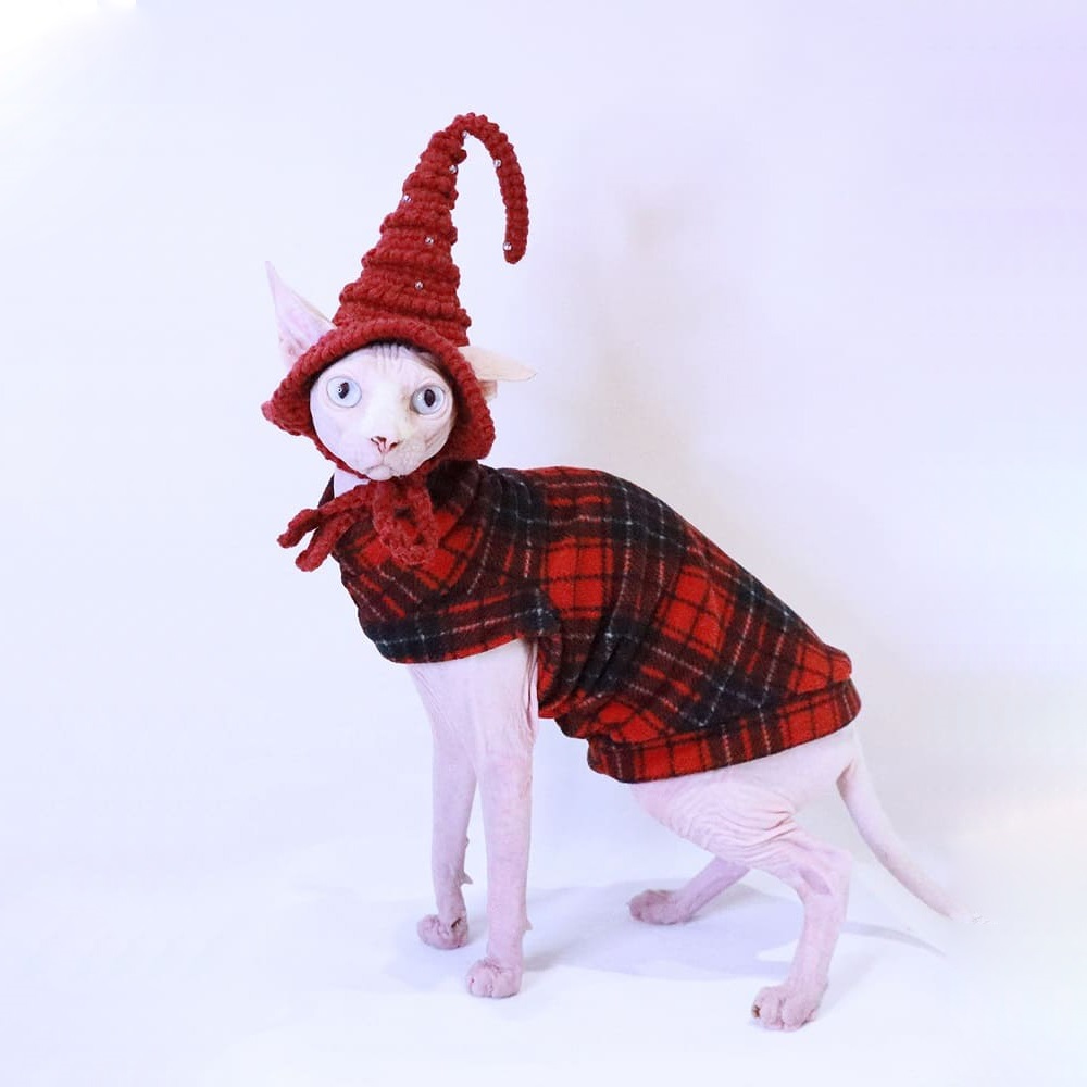 Christmas Sweater for A Cat-Sphynx wrears red sweater