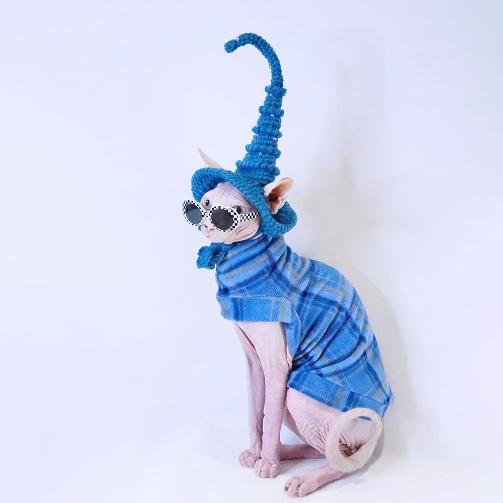 sphynx christmas sweaters