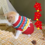 Christmas Outfits for Cats-Cat wear red sweater