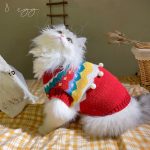 Christmas Outfits for Cats-Cat wear red sweater