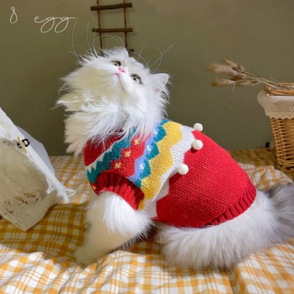 Weihnachtsoutfits für Katzen-Katze trägt roten Pullover