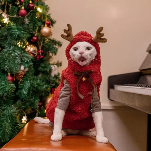 Jerseys de Navidad para gatos-Cuernos de alce