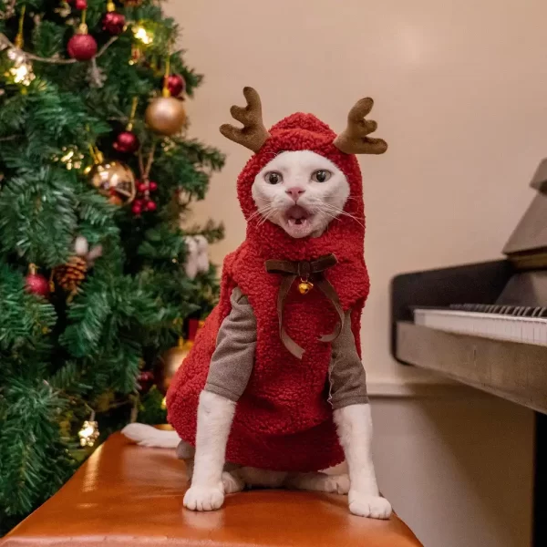 Christmas Sweaters for Cats-Elk Horns