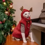 Christmas Sweaters for Cats-Elk Horns