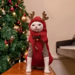 Christmas Sweaters for Cats-Elk Horns