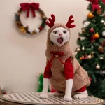 Christmas Sweaters for Cats-Elk Horns