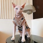 Sweater for Cat | Sphynx Cat Sweater, College Style Cat Sweater