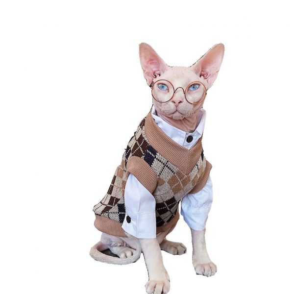 Sweater for Cat | Sphynx Cat Sweater, College Style Cat Sweater