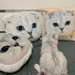 Cuscino personalizzato della foto dell'animale domestico, forma personalizzata del cuscino dell'immagine dell'animale domestico (4)