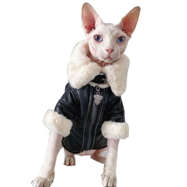 Coats for Cats · YESWARMG