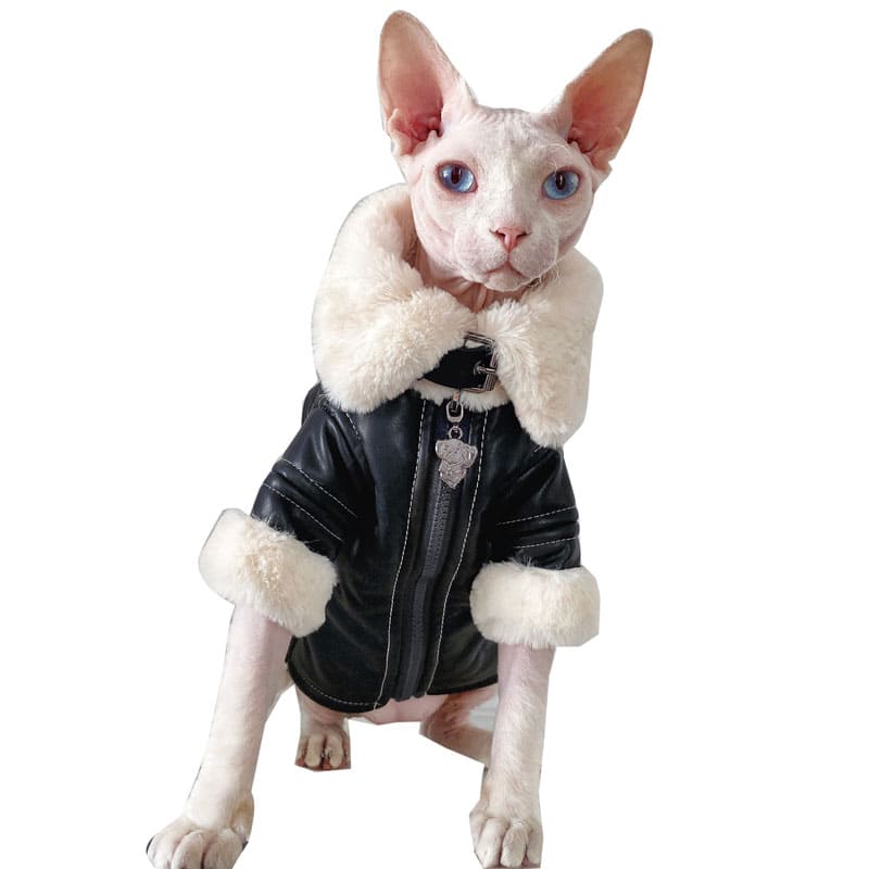 Coats for Sphynx Cats  Cat Winter Coat, Cat Coat, Jackets for cats