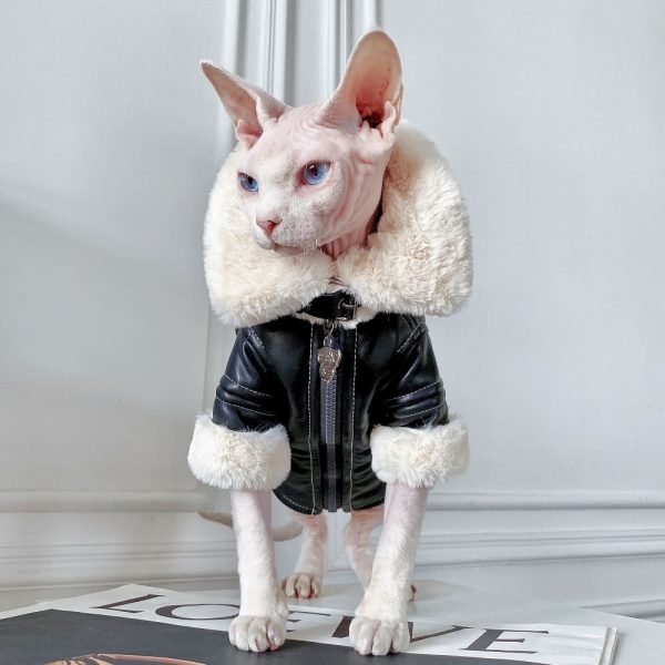 Sphynx abrigo de invierno | abrigo de invierno del gato, gato Sphynx ropa abrigo
