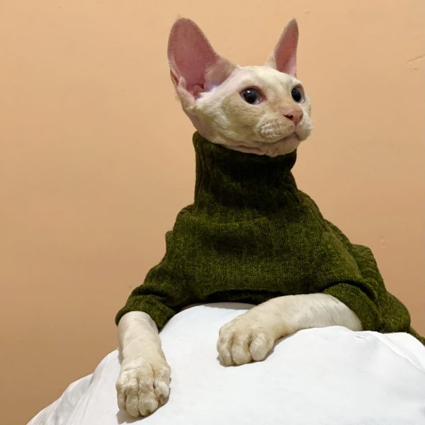 Cats Sweaters | Sphynx Cat Turtleneck, Hairless Cat Turtleneck