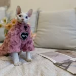 Sudadera con capucha y cordón para gatos sin pelo