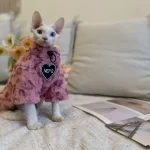 Hairless Cat Hoodie-Drawstring Hoodie