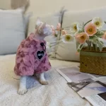 Hairless Cat Hoodie-Drawstring Hoodie