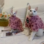 Hairless Cat Hoodie-Drawstring Hoodie