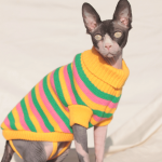 Turtleneck for Cats | Sphynx Cat Clothes with Leg Straps, Knitted Sweater