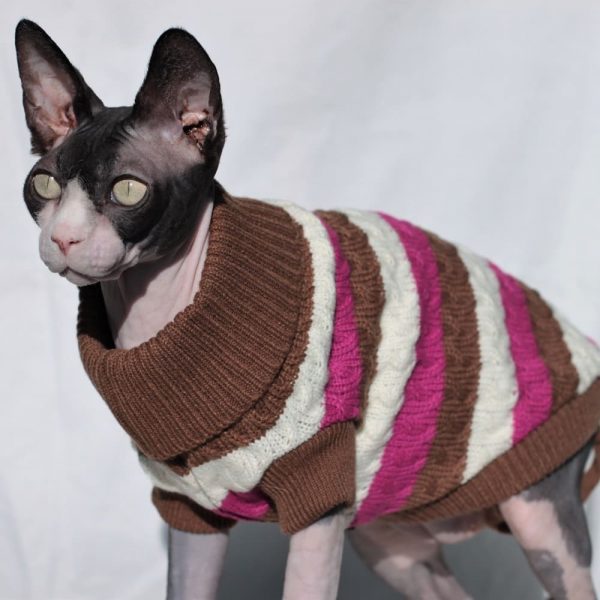 Turtleneck for Cats | Sphynx Cat Clothes with Leg Straps, Knitted Sweater