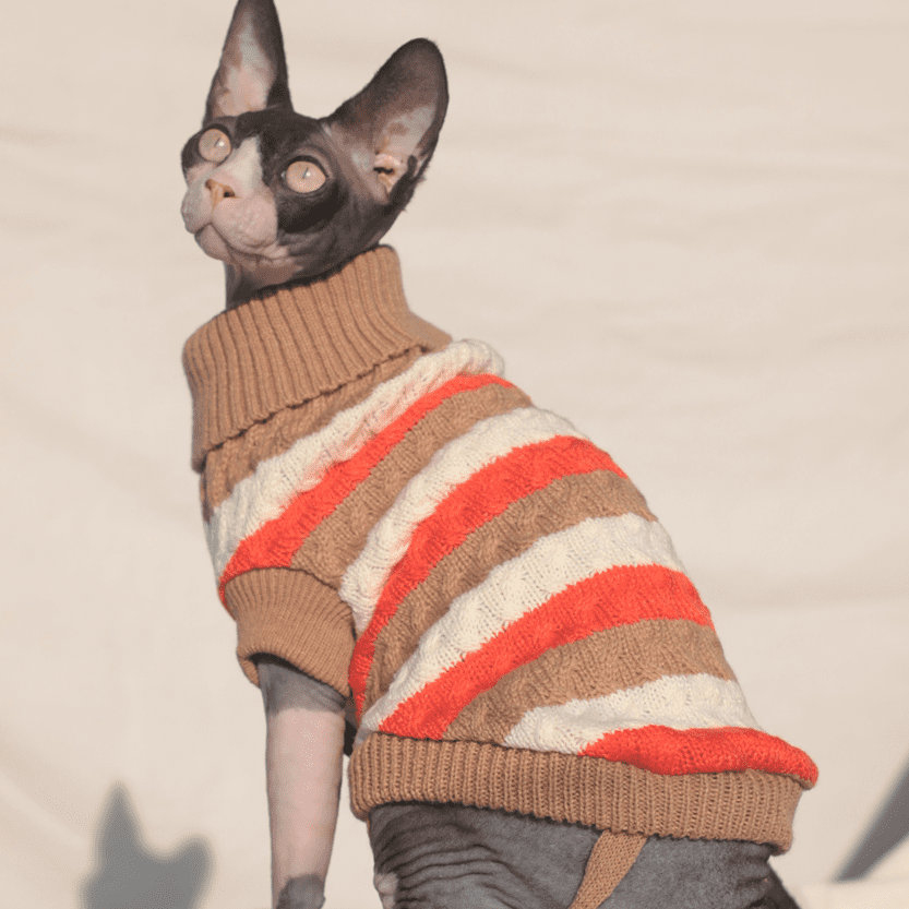 Bonaweite Sphynx Cat Clothes, Cat Sweaters for Cats Only, Turtleneck Sphynx  Cat Sweaters, Cat Clothes for Cats Only, Svinx Hairless Cat Kitten Clothes