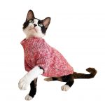 Sweater with Cats | Hairless Cat in Turtleneck, Turtleneck Sweater