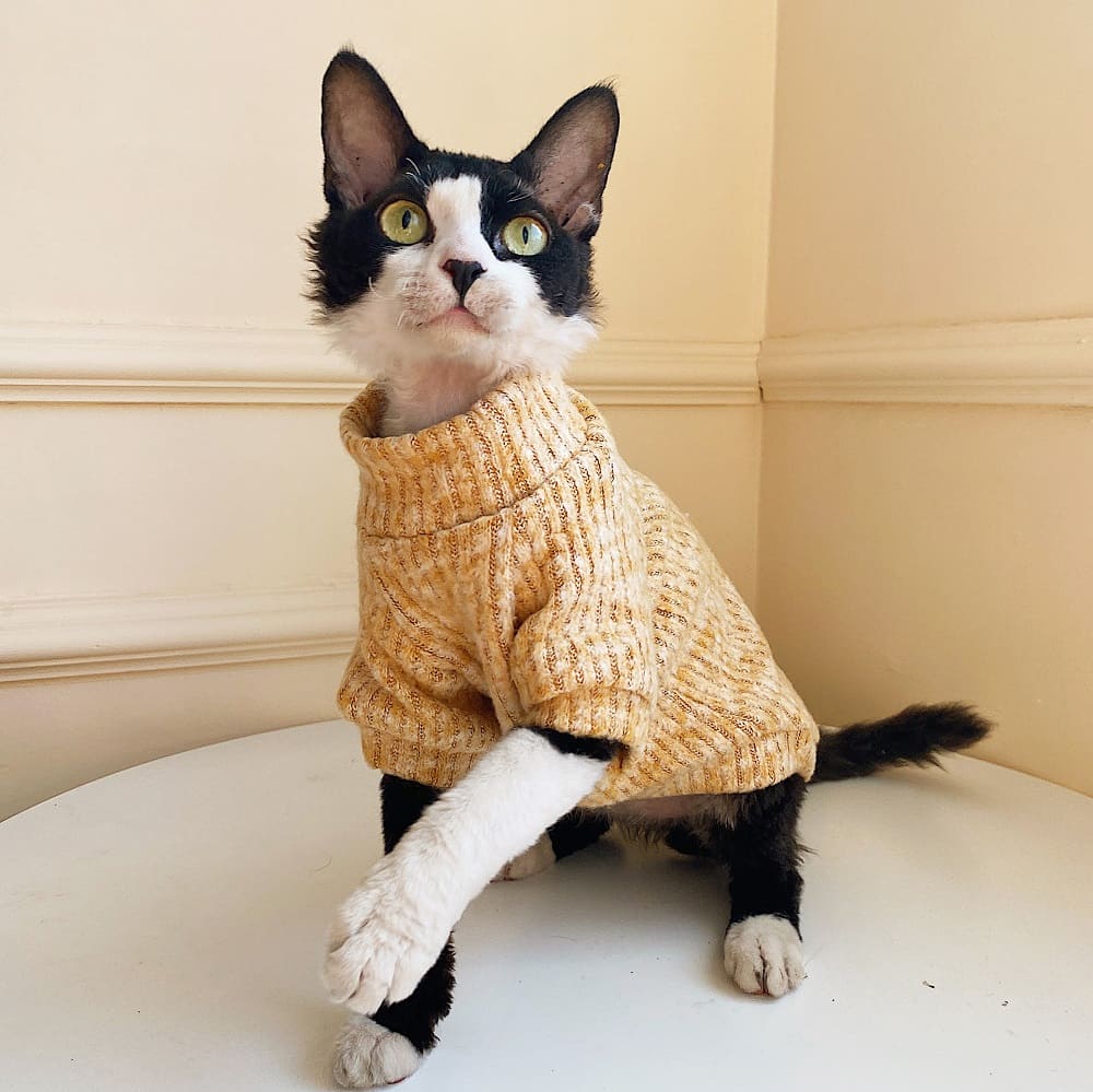 Cat turtleneck hot sale
