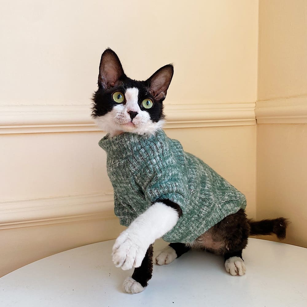 Winter Cat Sweater, Turtle Necks for Cats, Luxurious Coat for Cats