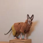 Manteau à capuche pour chats - Manteau à capuche en peluche
