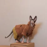 Kitty Hoodie for Cats-Plush Hoodie Coat