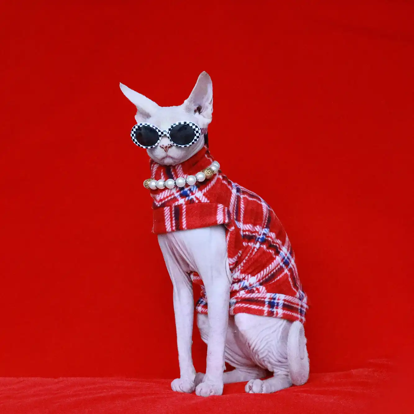 Однорукий рождественский свитер для кошки