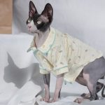 Sphynx Pajamas | Cute Pet Clothes, Cat Apparel, Cute Cat with Clothes