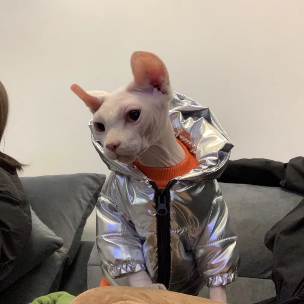 Coats for Sphynx Cats Cat Winter Coat, Cat Coat, Jackets for cats