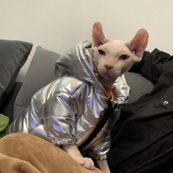 Chanel luxurious cat coat for Sphynx& Hairless Cat | Fashion winter jacket