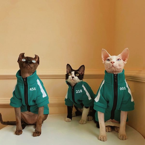 Vestes pour chats pour l'hiver | Squid Game Jacket for Cat, Jackets for Cats
