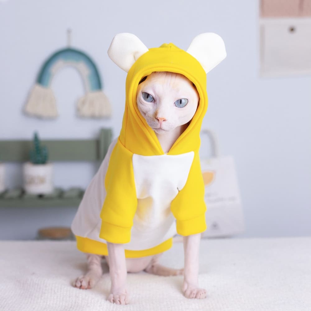 Sphynx Katze Kleidung Hoodie | Kätzchen Sweatshirt, Katze Cartoon Bär Hoodie
