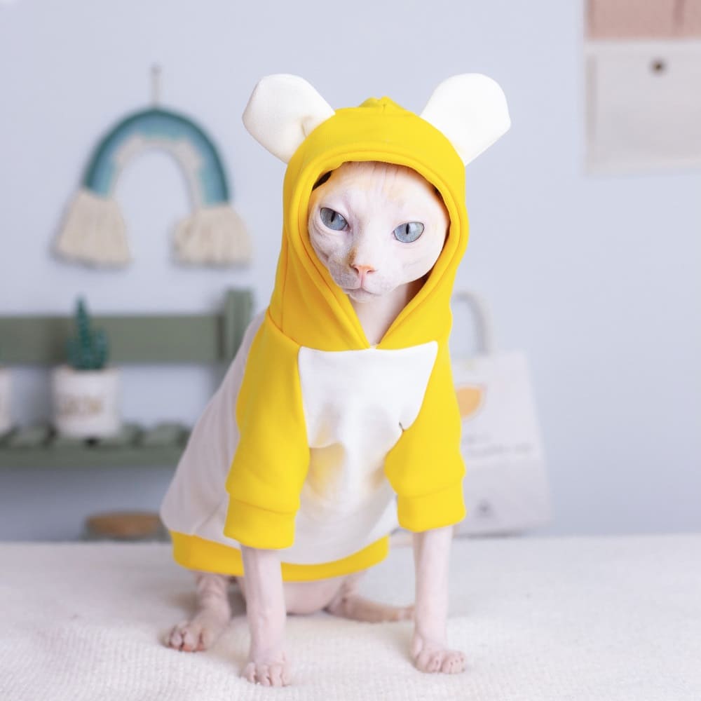 Sphynx Cat Clothes Hoodie | Kitten Sweatshirt, Cat Cartoon Bear Hoodie