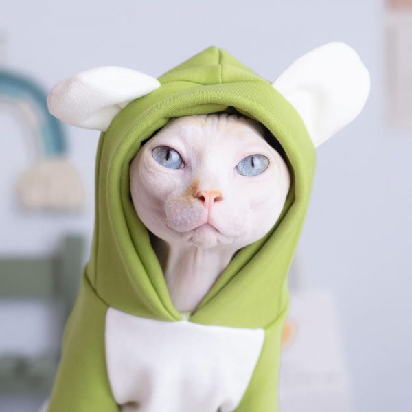 Sweat à capuche Sphynx Cat Clothes | Kitten Sweatshirt, Cat Cartoon Bear Hoodie