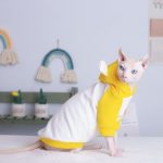 Sphynx Cat Clothes Hoodie | Kitten Sweatshirt, Cat Cartoon Bear Hoodie